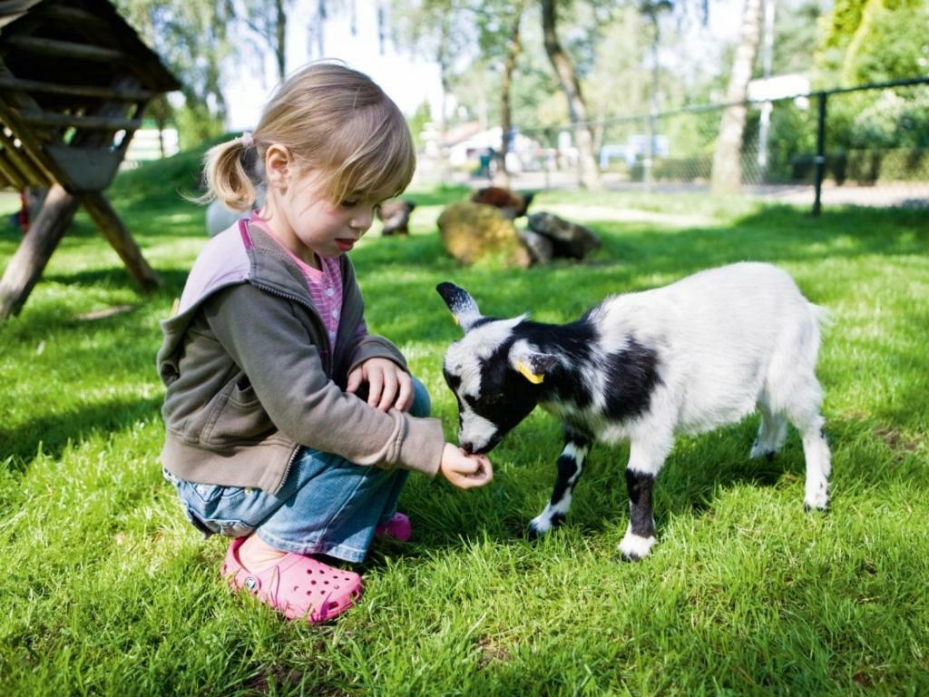 Landal De Veluwse Hoevegaerde Hotel Putten Esterno foto